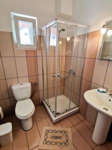 ダシアにあるIlias Apartments Dassia By Hoteliusのバスルーム(シャワー、トイレ、シンク付)