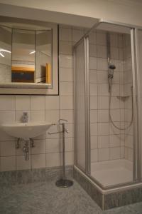 ein Bad mit einer Dusche und einem Waschbecken in der Unterkunft Ankirchen Apartments in Vorderthiersee