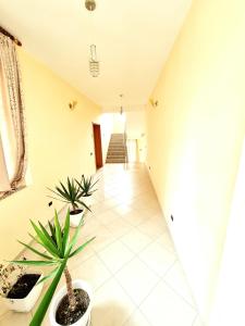 Galeri foto Luckyshine hostel di Vlore