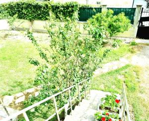 Galeri foto Luckyshine hostel di Vlore