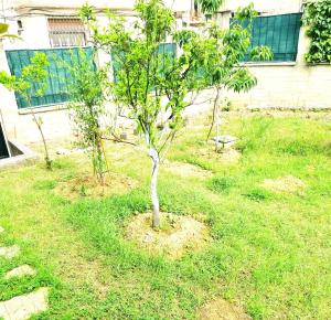 Galeri foto Luckyshine hostel di Vlore