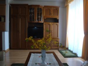 Kuchyň nebo kuchyňský kout v ubytování HOLIV Apartman
