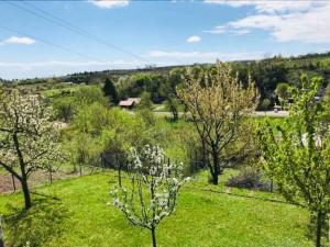 Príroda v okolí apartmánu