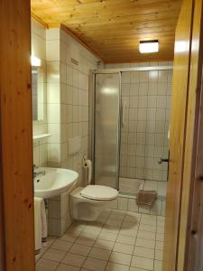 La salle de bains est pourvue d'une douche, de toilettes et d'un lavabo. dans l'établissement Pension Berg&Bleibe Wertach, à Wertach