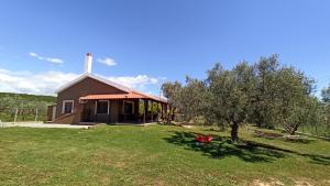 una piccola chiesa con un albero nel cortile di Casa Dikella a Mesimvría