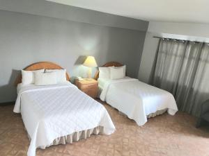Postel nebo postele na pokoji v ubytování Hotel Posada Tierra Blanca
