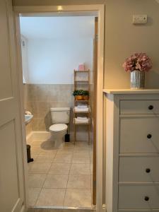 ein Bad mit einem WC und einem Waschbecken in der Unterkunft Bakers Cottage in Ironbridge