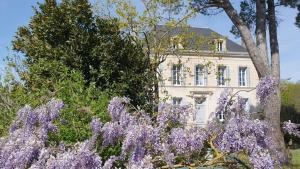 a bunch of purple flowers in front of a house at Le Logis d'Epargnes B&B and Gite in Épargnes