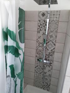 a shower in a bathroom with a shower curtain at Le gîte du Puits Aubert in Brézé