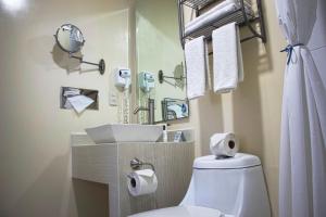 Bagno di Best Western Real Tula Express