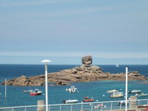 特雷加斯泰的住宿－博塞茹爾沙龍餐廳酒店，海洋中的雕像,水中有船
