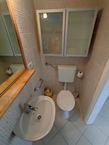 a bathroom with a toilet and a sink at Apartment Valun 60 in Valun