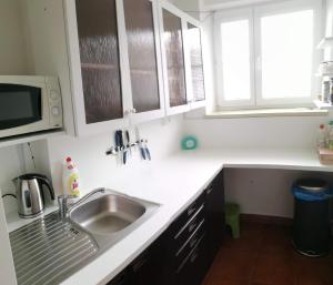 Kuchyň nebo kuchyňský kout v ubytování Penzion Panorama