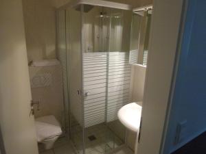 a bathroom with a shower and a toilet and a sink at Hotel Castellana in Lessien