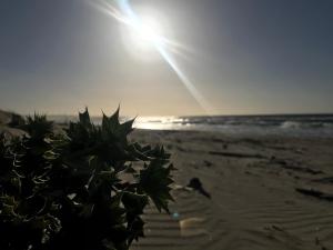 una vista sulla spiaggia con il sole sullo sfondo di Lu Cori di Sossu a Sorso