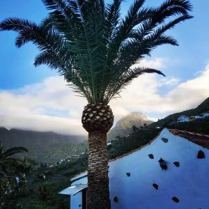 uma palmeira no topo de uma casa com uma montanha em Finca Lomo Grande em Hermigua