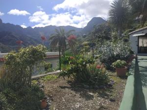 a garden with plants and mountains in the background at Finca Lomo Grande in Hermigua
