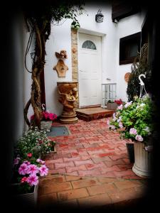 Zahrada ubytování Casa Fotografului Studio Marines