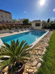 a swimming pool with chairs and a palm tree in a yard at Le Provence in Gémenos