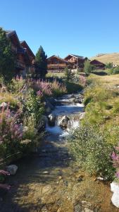 un ruisseau au milieu d'un champ avec des fleurs dans l'établissement Appartement Alpe d'huez, à Huez 8 autres photos