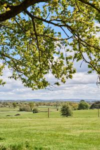 a green field with a tree in the foreground at Equestrian Lodge in Holmesfield