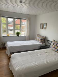 two beds in a room with two windows at Købmandsgården i Grundfør in Hinnerup