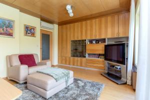 a living room with a chair and a television at Apartment Franko in Radovljica