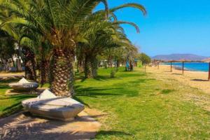 rząd palm na plaży przy wodzie w obiekcie Koko's summer house w mieście Nea Makri