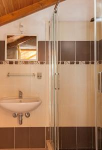 La salle de bains est pourvue d'un lavabo et d'une douche. dans l'établissement Country House Vinko, à Račišće