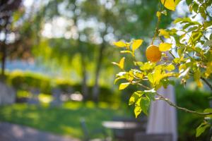 Gallery image of B&B Unterhabsbergerhof in Appiano sulla Strada del Vino