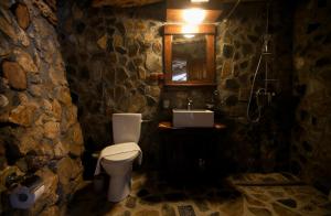 Kúpeľňa v ubytovaní Odai din Plai