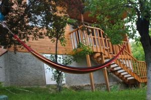 a hammock in front of a house at Cottage in Tʼelavi