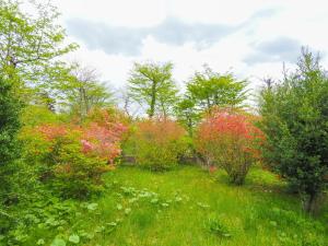 a garden with colorful flowers and trees at Rigeru - Vacation STAY 11338 in Nasu