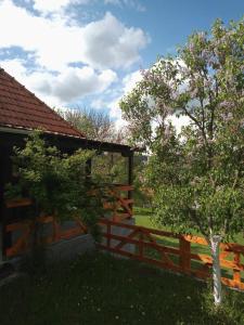 Zahrada ubytování Brvnara Ljubičica
