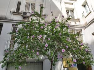 a bunch of flowers hanging off the side of a building at Vittoria Guest House Salerno in Salerno