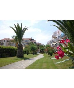 einen Gehweg mit Palmen und Gebäuden im Hintergrund in der Unterkunft Rez de jardin + terrasse piscine et accès direct plage (30 mètres !) in Saint-Cyprien