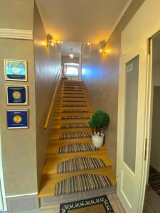 a staircase in a building with a potted plant at Guesthouse Kod Keme in Sarajevo