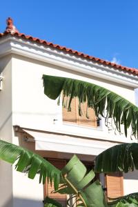 a white building with wooden shutters and a palm tree at Eleni Suites Methoni in Methoni