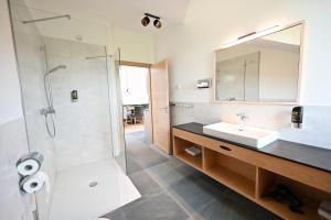 een badkamer met een wastafel en een douche met een spiegel bij Danner-Hof in Kochel