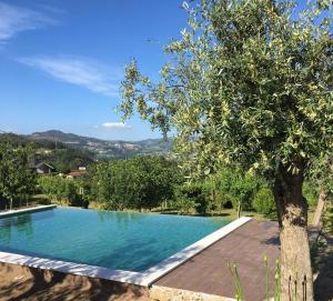 a swimming pool with a tree in the foreground at Bernardes House in Castelo de Paiva