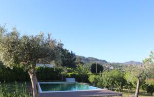 Kolam renang di atau dekat dengan Bernardes House