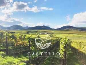 ein Zeichen für einen Weinberg auf einem Traubenfeld in der Unterkunft Die Gründerzeitvilla zwischen Weinstrasse und Pfälzer Wald in Bad Bergzabern + 6 Fotos