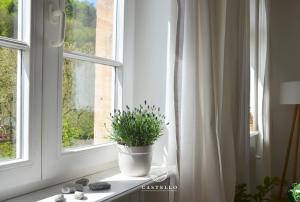 einer Topfpflanze, die auf einem Fensterbrett sitzt in der Unterkunft Die Gründerzeitvilla zwischen Weinstrasse und Pfälzer Wald in Bad Bergzabern
