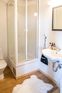 ein Bad mit einer Dusche und einem Waschbecken in der Unterkunft Aurora Lodge Hotel in Hvolsvöllur