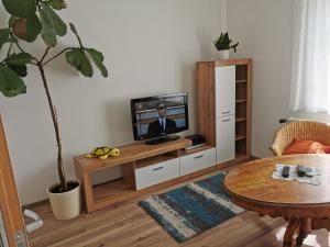 ein Wohnzimmer mit einem TV und einem Tisch in der Unterkunft Gyöngy Apartman in Keszthely