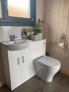 uma casa de banho com um WC branco e um lavatório. em Orkney Lux Lodges - Hamnavoe em Stromness