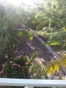 Ein Garten an der Unterkunft Sea Eye Hotel - Laguna Building