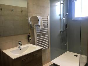 uma casa de banho com um lavatório e um chuveiro com um espelho. em Les BALCONS de L'ESPERANCE em Limeuil