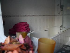 Bagno di Murray's Mountain View