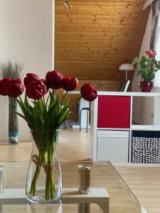 Kép ALTSTADT-APARTMENTS Bad Radkersburg - Ihr Zuhause auf Reisen szállásáról Bad Radkersburgban a galériában